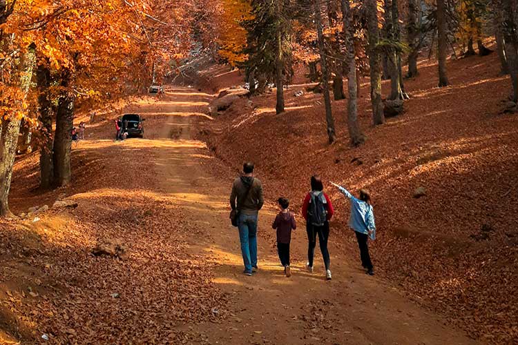 BLOGPOST_HarvestingGoodHabitsB10132025.jpg BLOGPOST_HarvestingGoodHabitsB10132025.jpg