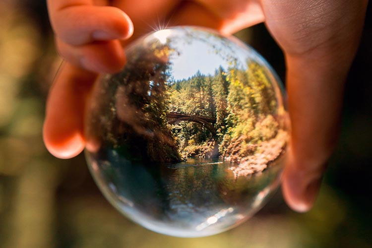 BLOGPOST_Clarity02162026.jpg BLOGPOST_Clarity02162026.jpg