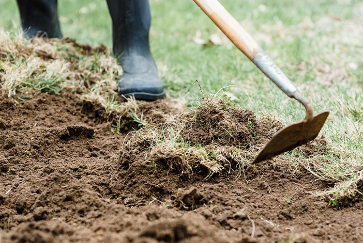 BLOGPOST_PeaceIsBuilt1_03302026.jpg BLOGPOST_PeaceIsBuilt1_03302026.jpg